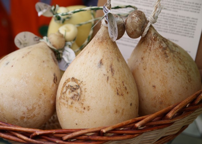 caciocavallo podolico