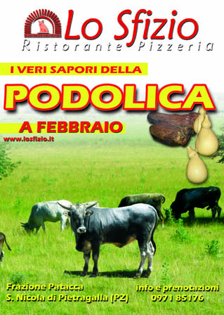 podolicaweb