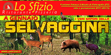 SELVAGGINA web3